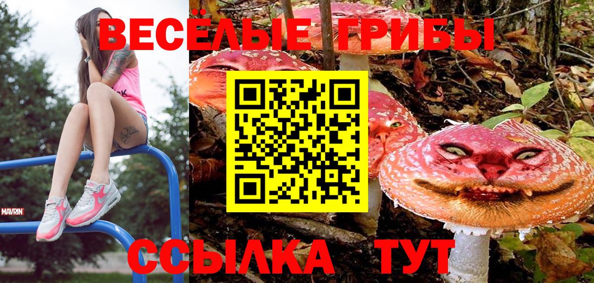Белореченск  Галлюциногенные грибы мицелий  Вход с VPN 